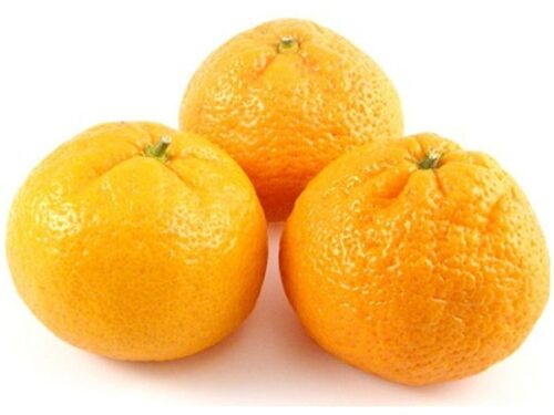 Mandarina Iwasaki