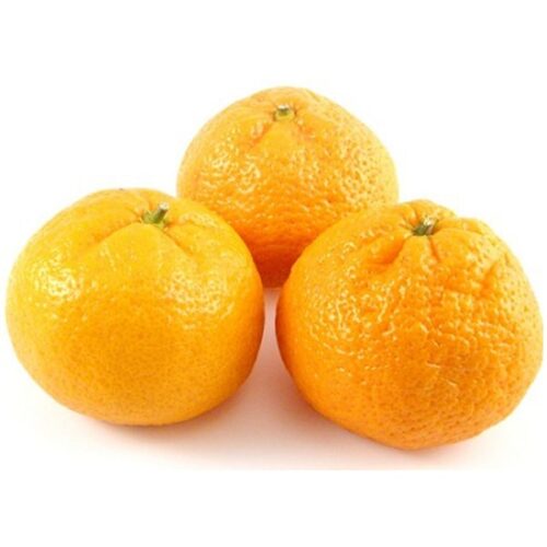 Mandarina Iwasaki